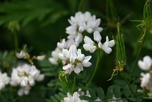 2025-07119592 Tower Hill Botanic Garden, MA